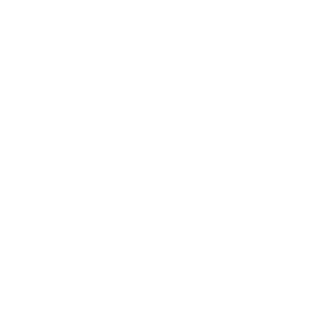 RMIT white logo